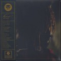 Thundercat / It Is What It Is (Red Vinyl)