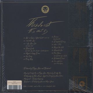 Thundercat / It Is What It Is (Cream Vinyl) back