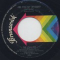 Chi-Lites / Are You My Woman?-1