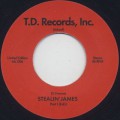 DJ Format / Stealin' James