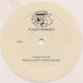 Flaunt Edwards / Planets Of Life