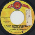 Curtis Mayfield / (Don't Worry) If There's A Hell ~ c/w The Making Of You