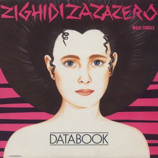 Databook / Zighidizazazero