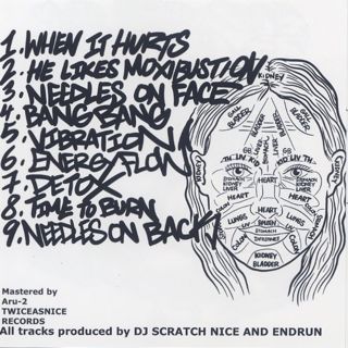 DJ Scratch Nice and Endrun / Acupuncture Instrumentals (CD) back