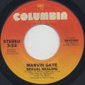 Marvin Gaye / Sexual Healing (7