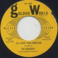 Holidays / I’ll Love You Forever-1