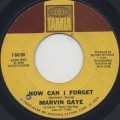 Marvin Gaye / How Can I Forget You