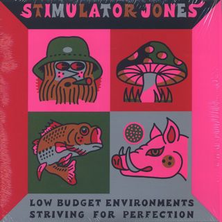 Stimulator Jones / Low Budget Environments Striving For Perfection