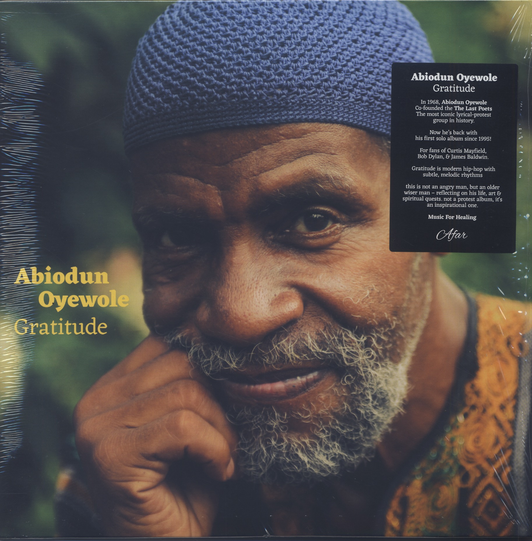 Abiodun Oyewole / Gratitude (2LP)-1